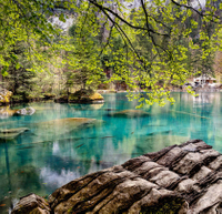 Surface Water Monitoring