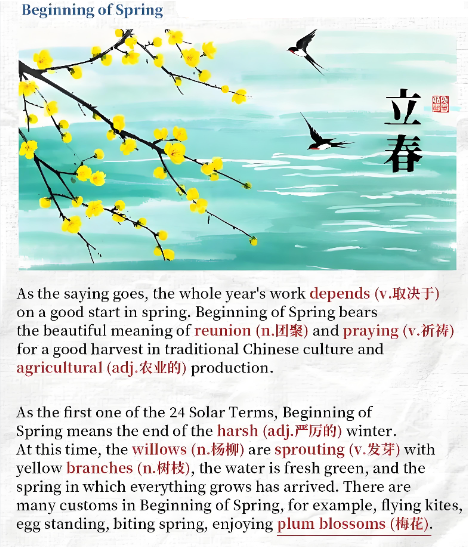 PROBEST: 2025 Goals Achieved, Ready for 2026 Growth 