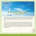 20250612已發 Effort and Strategic Alignment.png