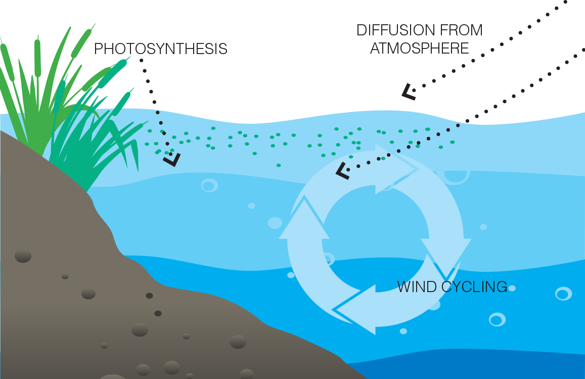 What is Dissolved Oxygen (DO)?