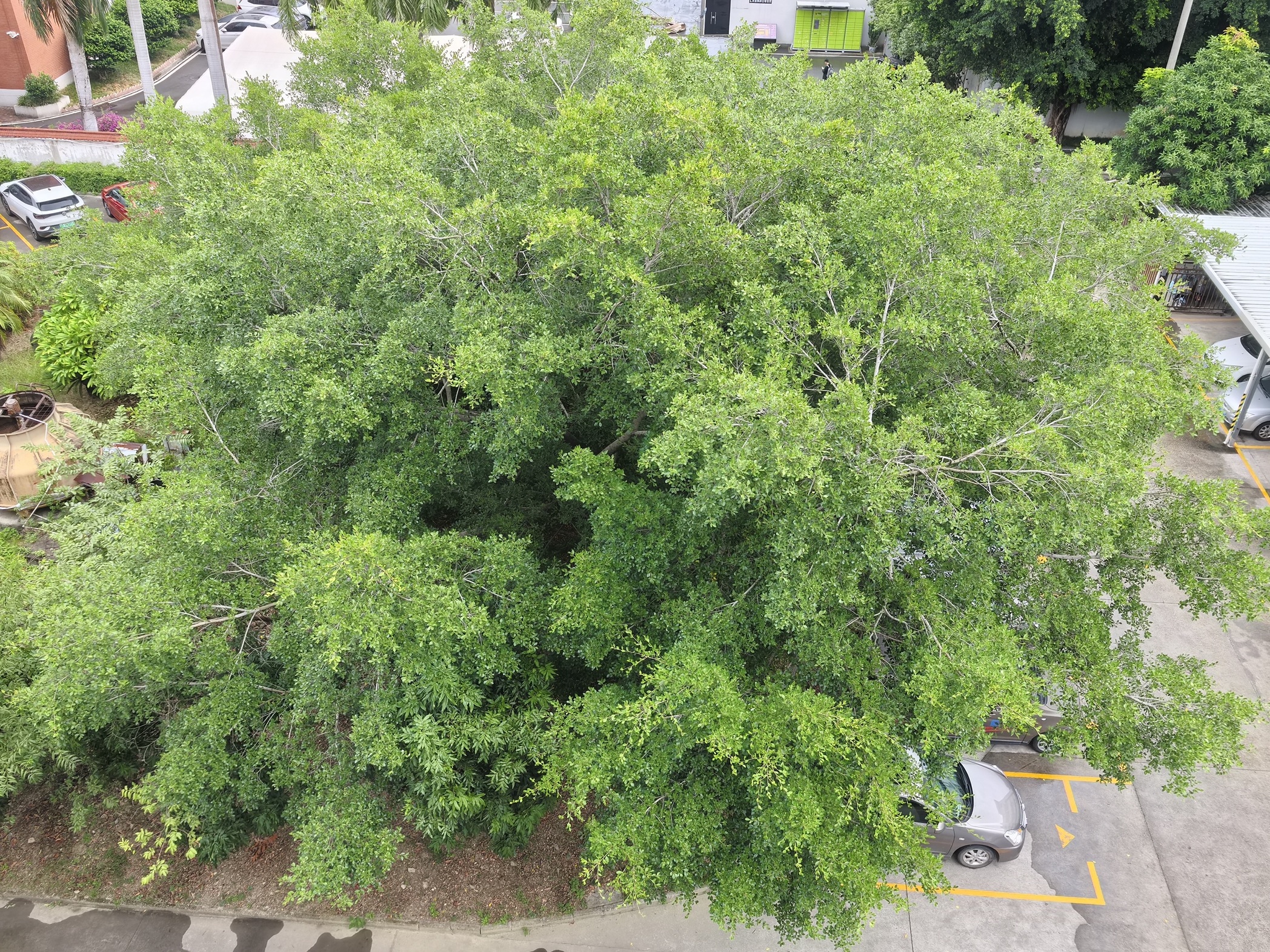 Probest water sensor manufacturer environment