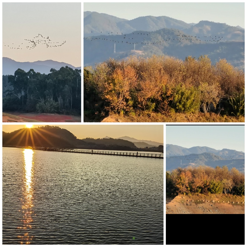 Green Development Ecology Smart Water Governance Water Quality Monitoring Tech